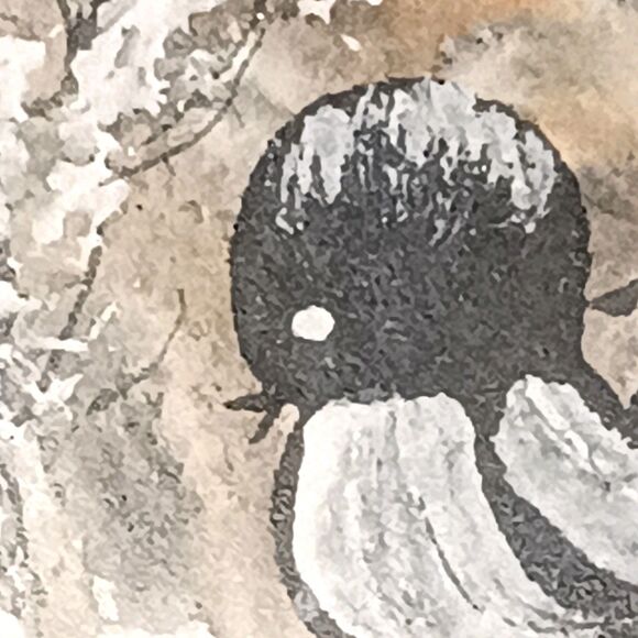 Painting Black & White Birds On Tree Branch Extending To Matt Signed Smethers - Picture 10 of 16